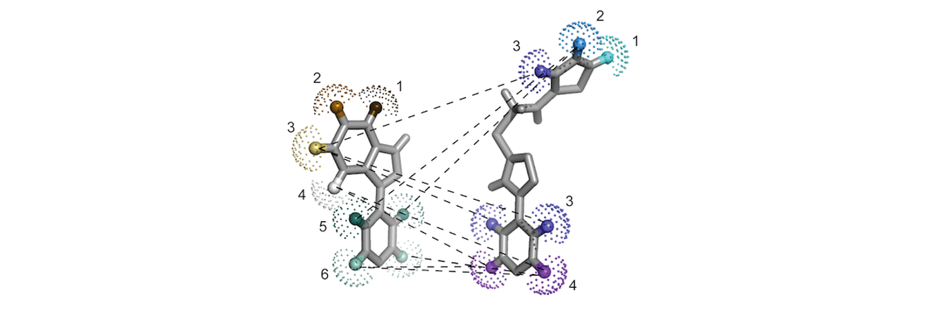 <em>Relative ligand-binding poses revealed by INPHARMA NOEs (indicated by dashed lines).</em>